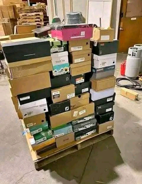 Mixed Breeded Shoe's